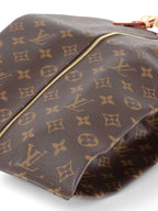 Louis Vuitton Monogram Shoe Bag