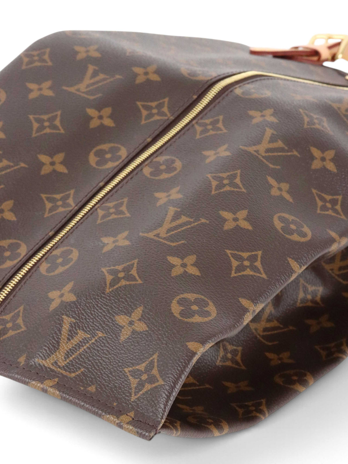 Louis Vuitton Monogram Shoe Bag