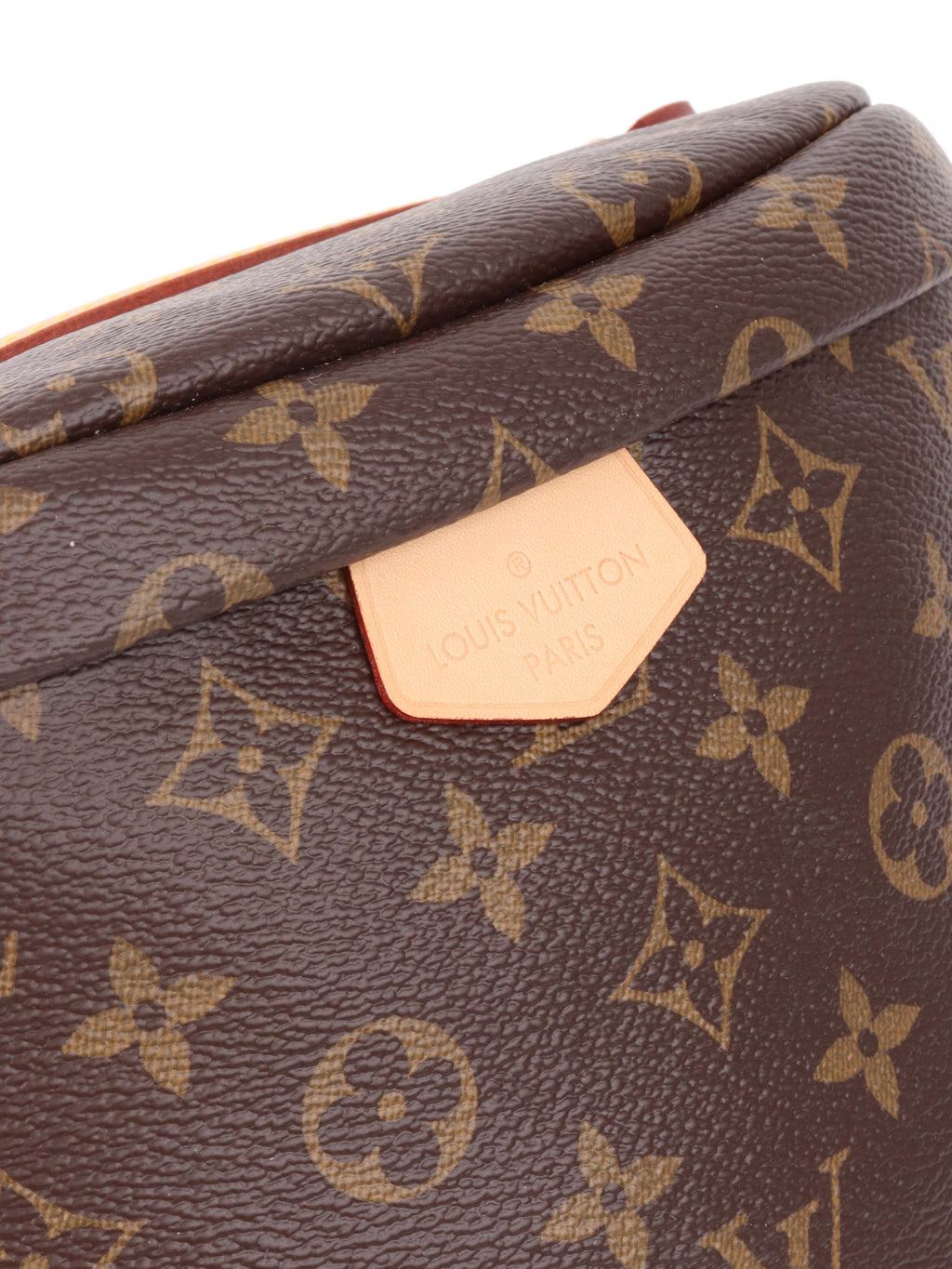 Louis Vuitton Monogram BumBag.