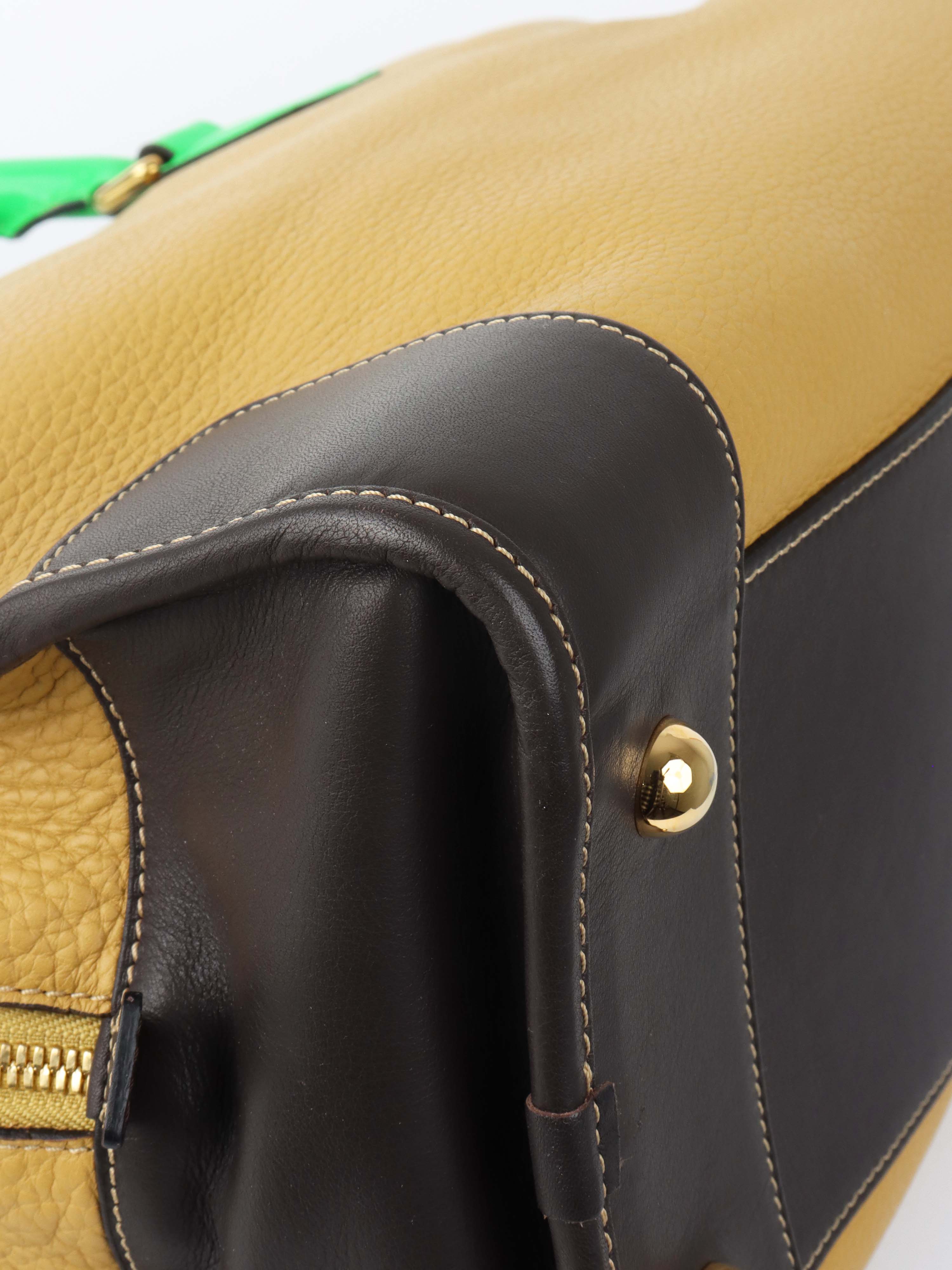 Loewe Amazona 36 Brown/beige with Green Top Handle.
