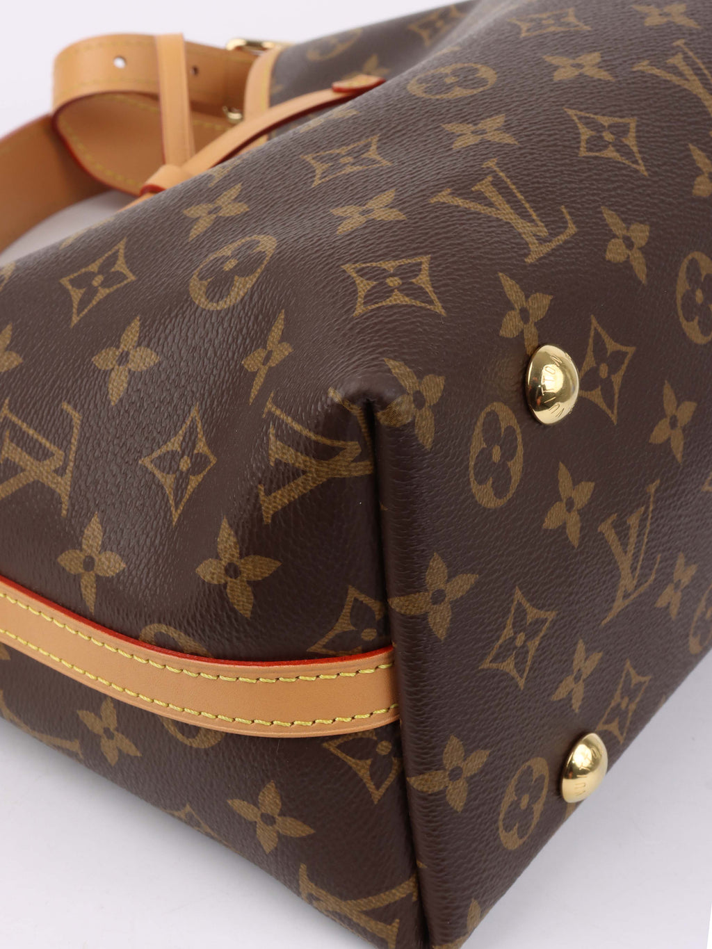 Louis Vuitton Monogram CarryAll PM Bag.
