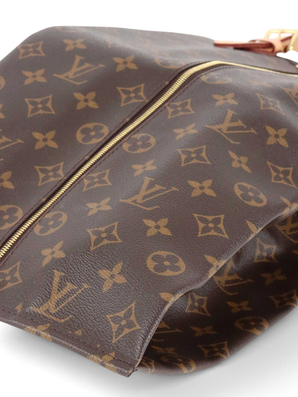 Louis Vuitton Monogram Shoes Pouch Bag