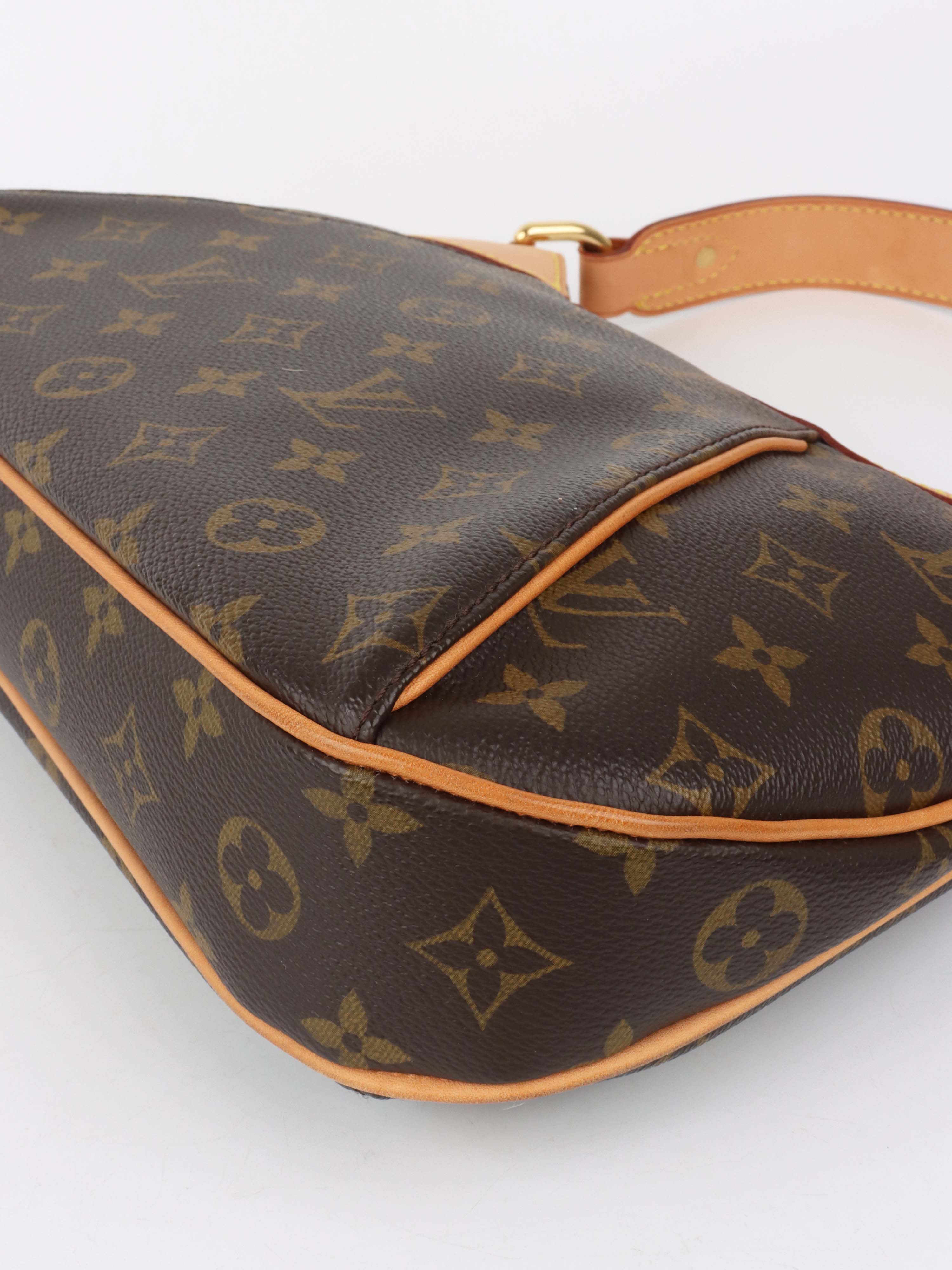 Louis Vuitton Brown Monogram Thames PM Bag.