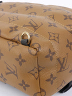 Louis Vuitton Reverse Palm Springs Mini Backpack.