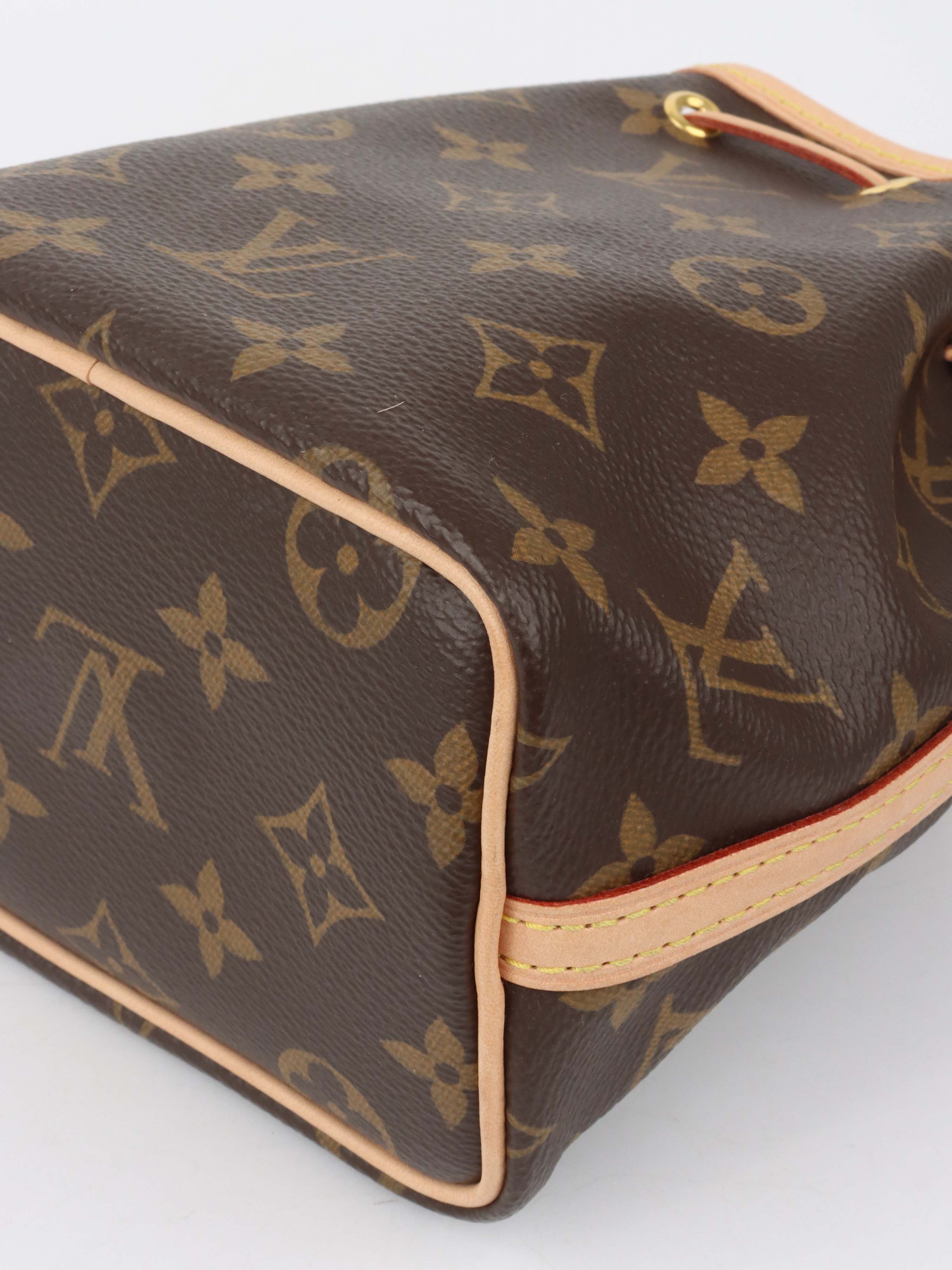 Louis Vuitton Monogram Nano Noe Bag.