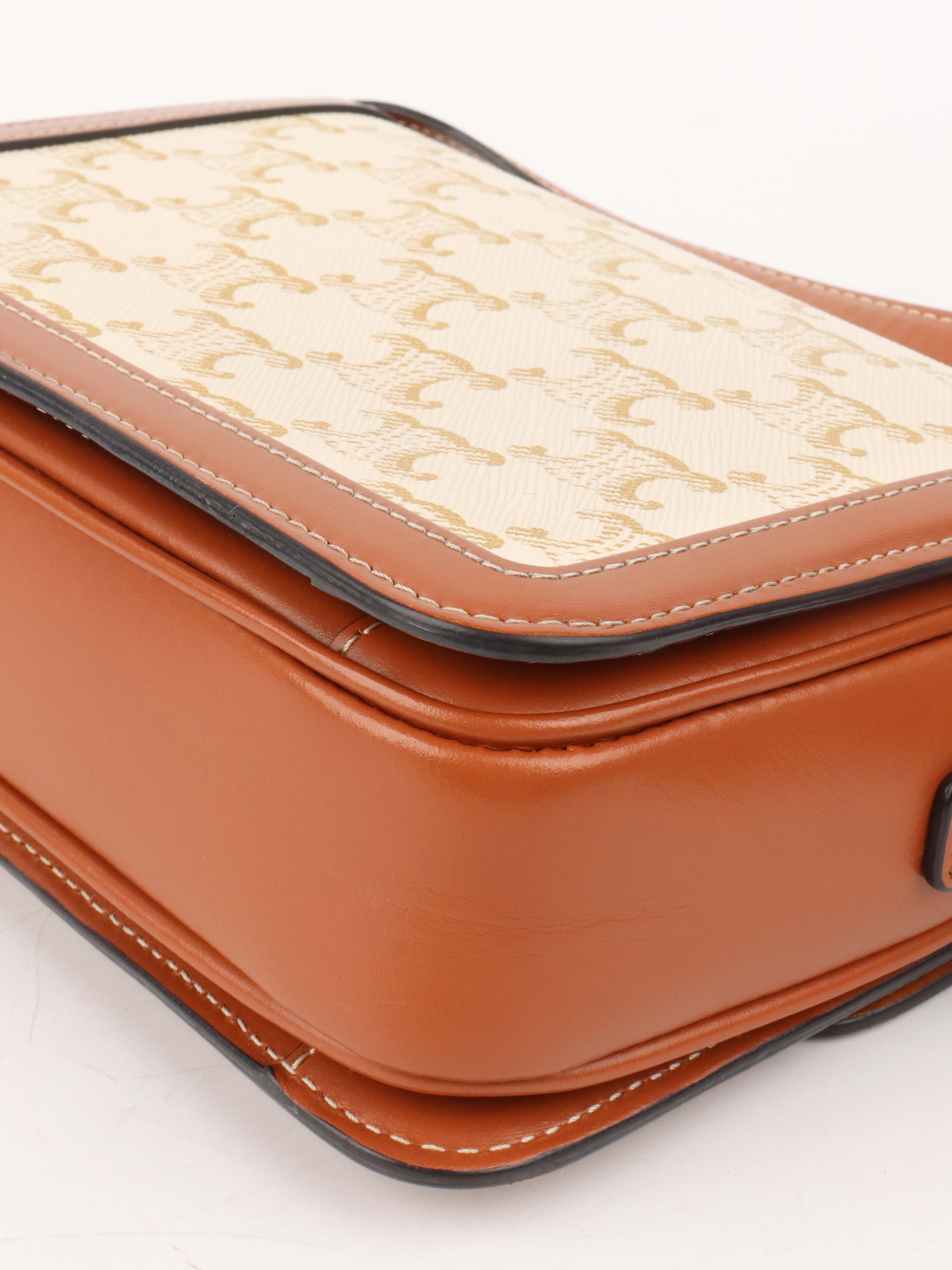 Celine Teen Triomphe Bag in Canvas.