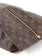 Louis Vuitton Monogram Shoes Pouch Bag