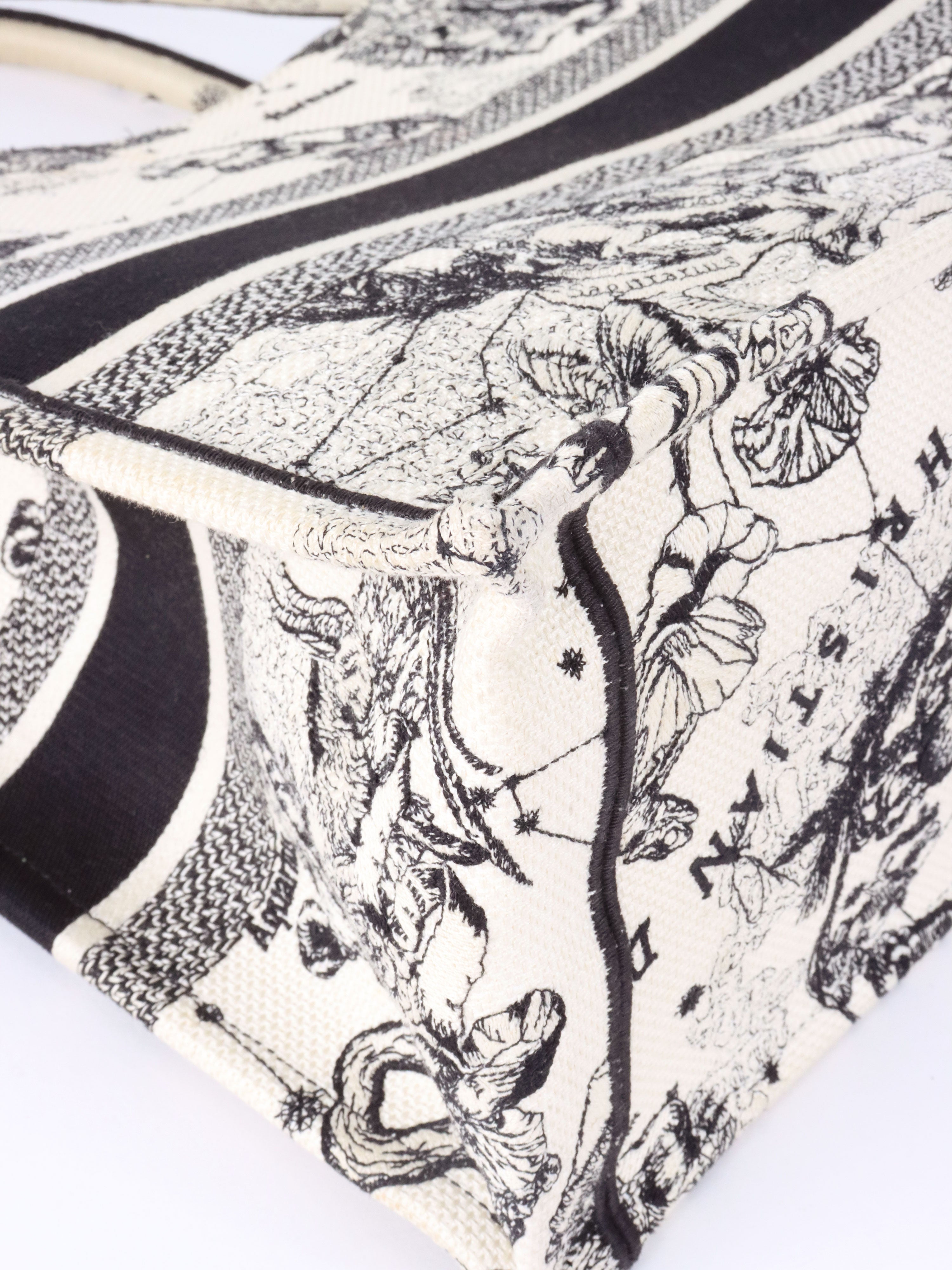 Dior Latte and Black Zodiac Medium Book Tote.