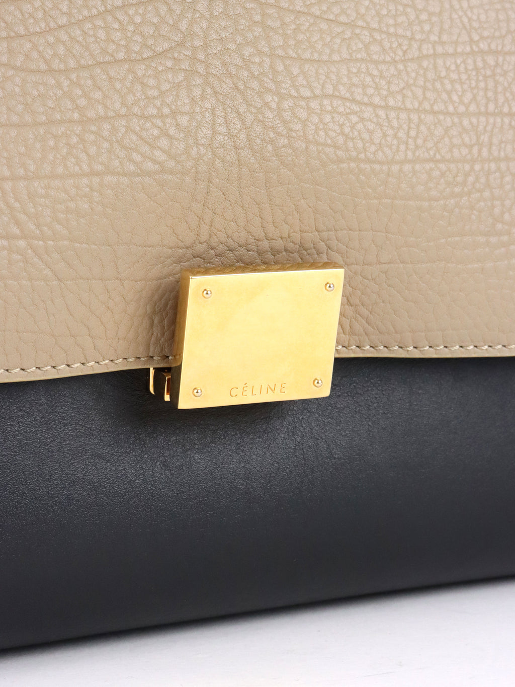 Celine Large Trapeze Bag Multicolour GHW