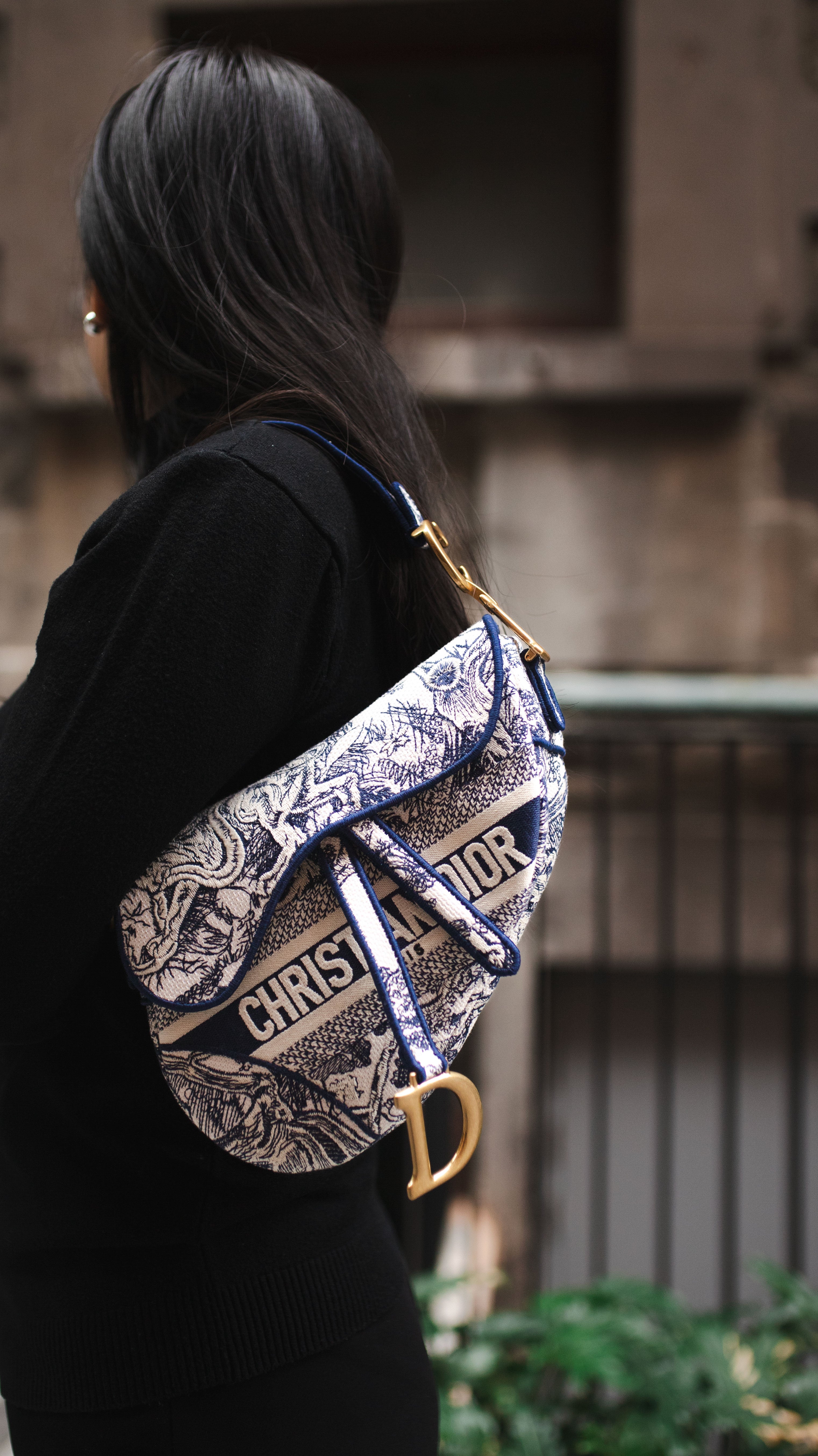 Dior Medium Blue Toile De Jouy Embroidered Saddle Bag