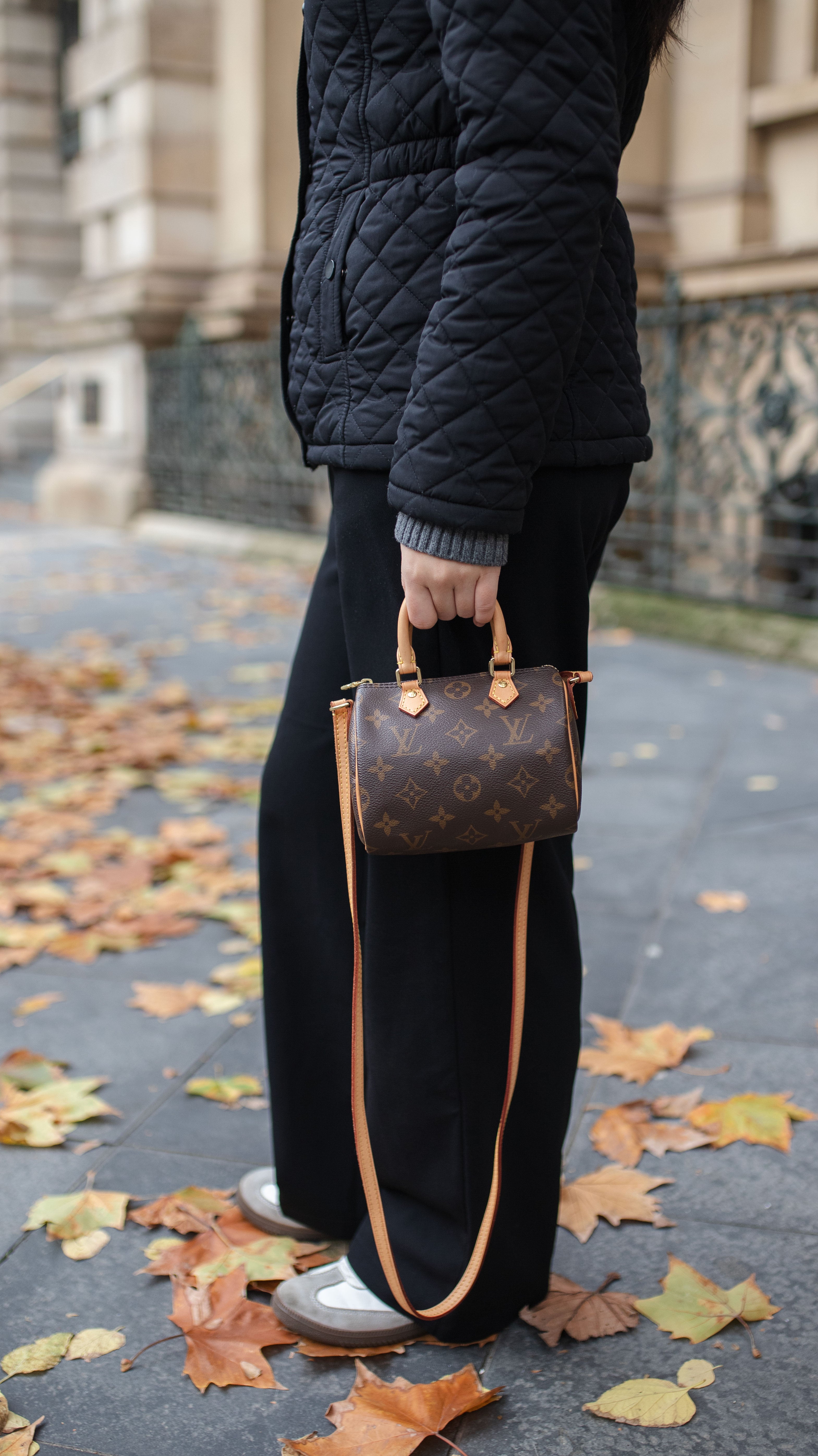 Louis Vuitton Monogram Nano Speedy