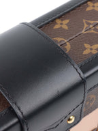 Louis Vuitton Monogram Tressage Petite Malle.