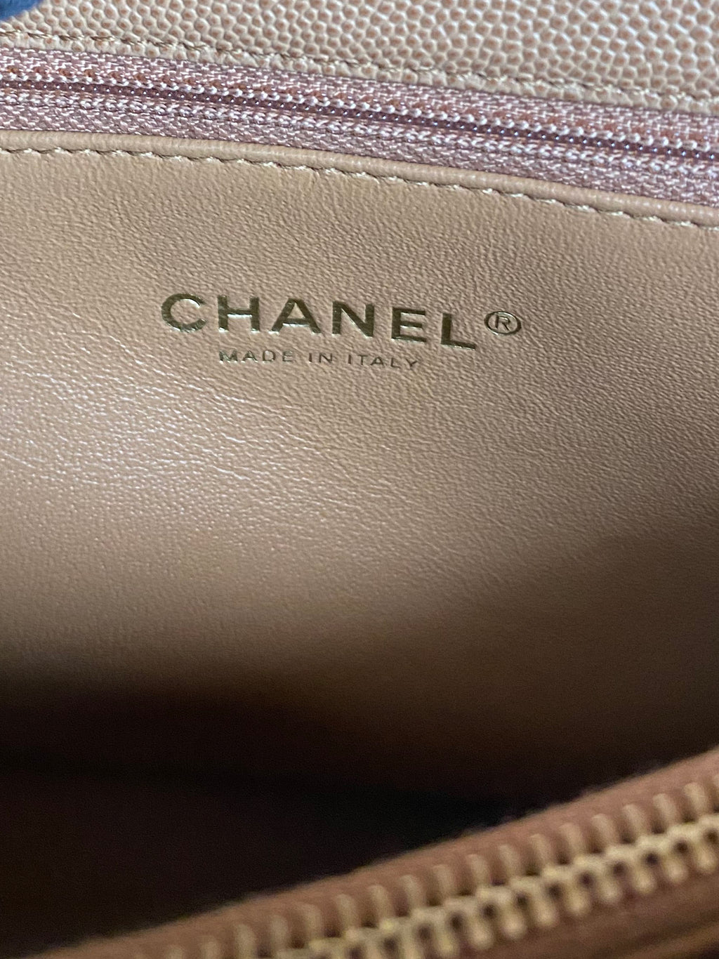 Chanel Large Beige Coco Lizard Handle Bag
