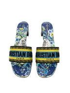 Dior Blue & Green Dway Heeled Slides 39