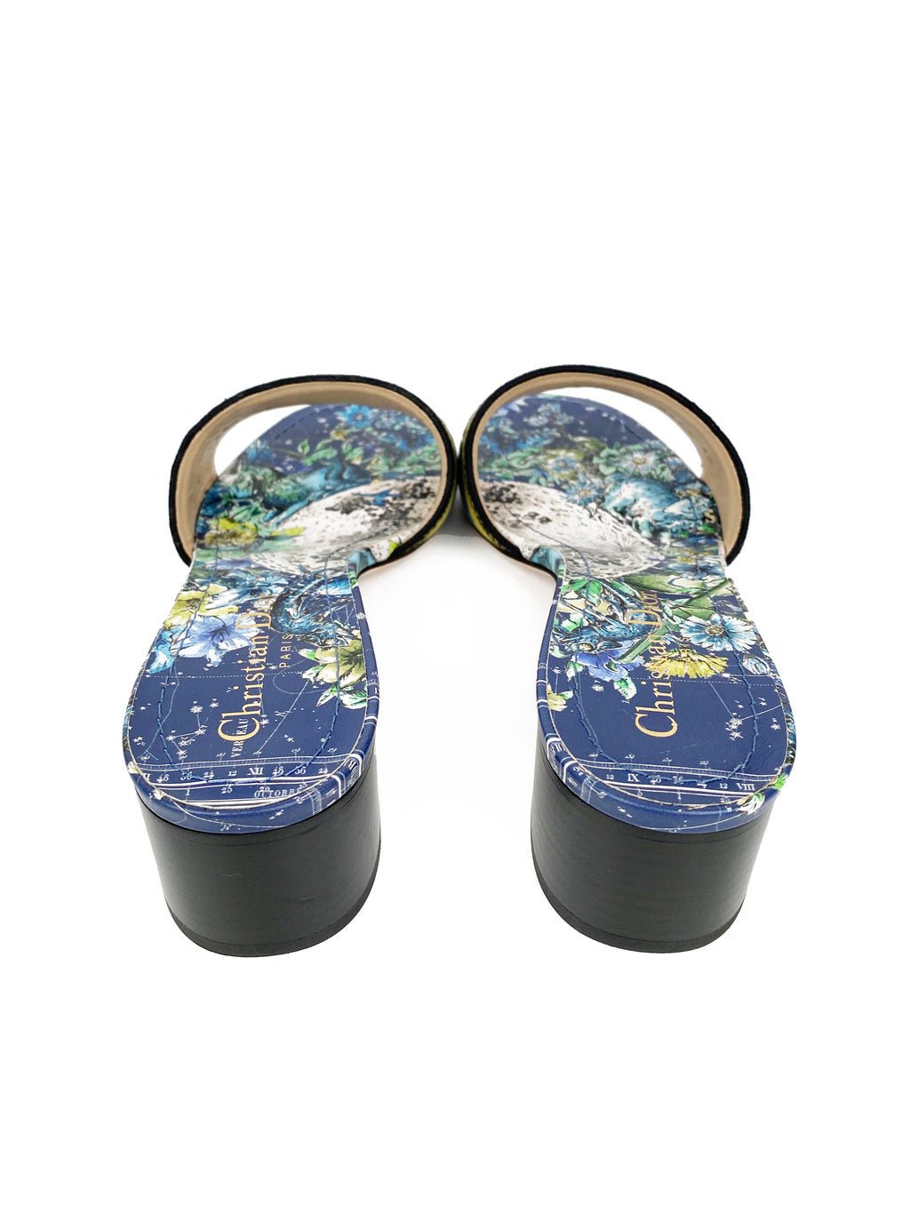 Dior Blue & Green Dway Heeled Slides 39