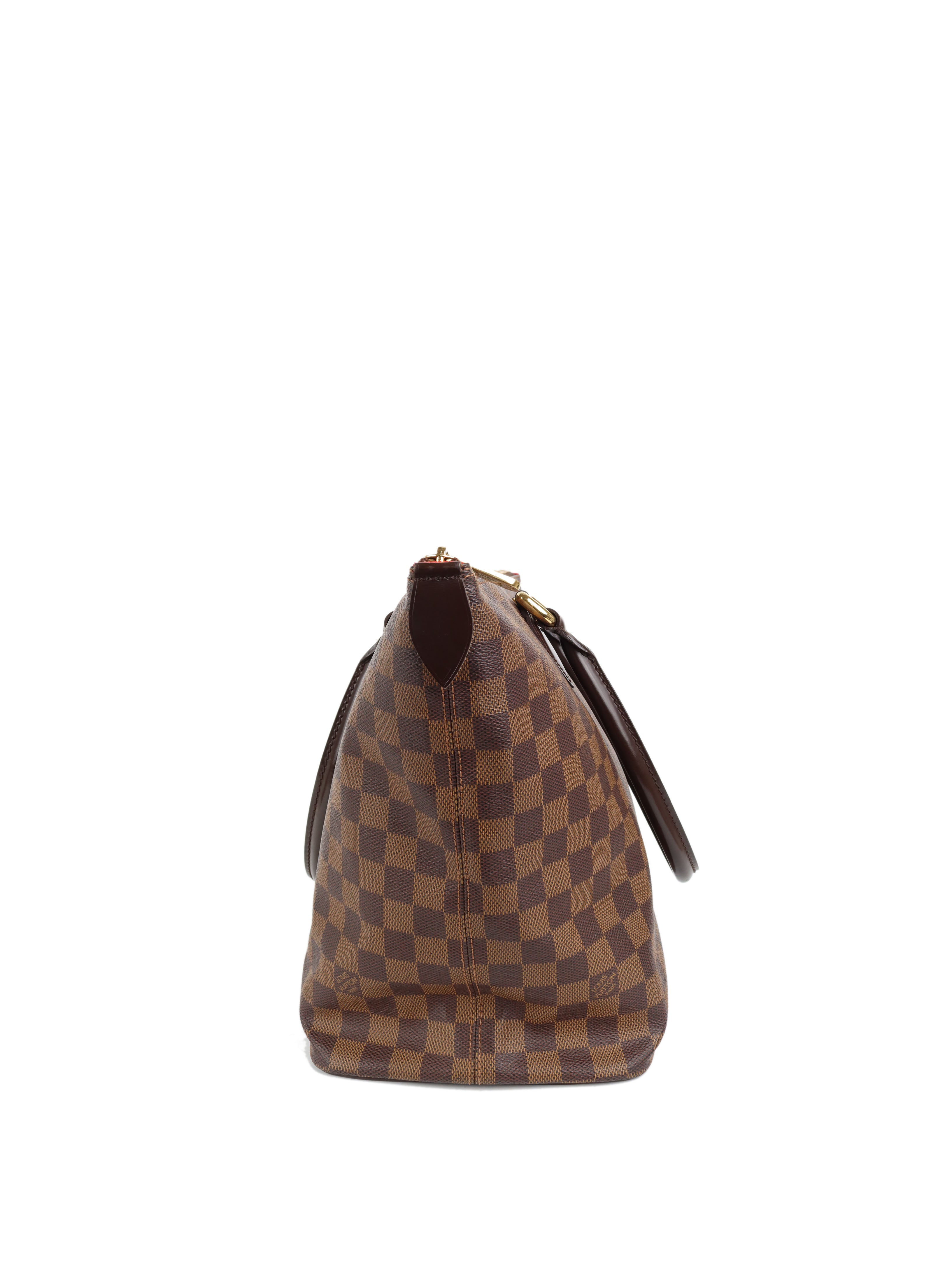 Louis Vuitton Damier Ebene Saleya MM Zip Tote Votre Luxe