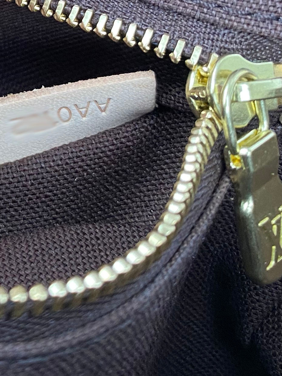 Louis Vuitton Monogram Shanti PM Bag