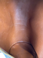 Louis Vuitton Vintage Papillon Bag