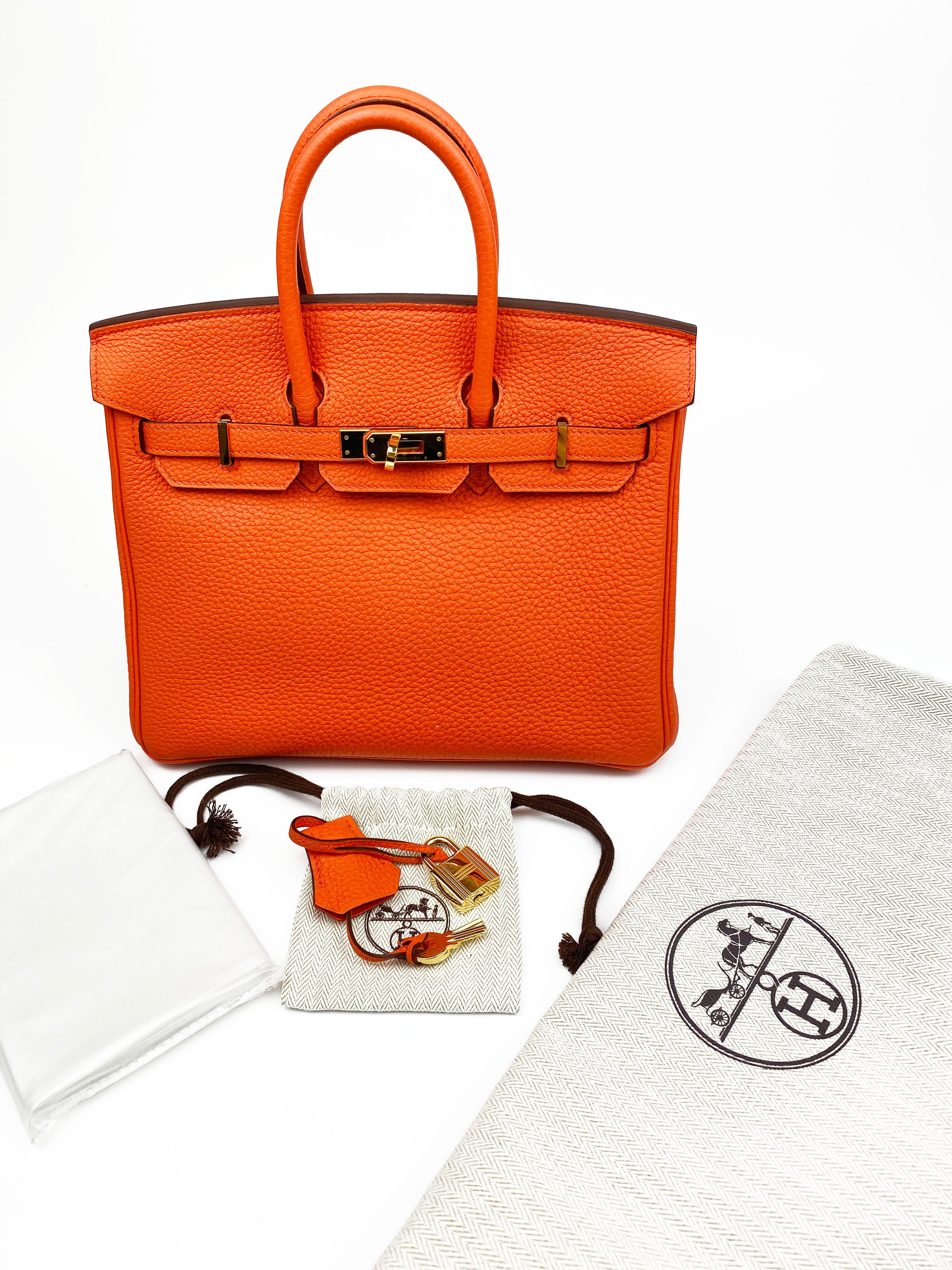 Hermes Birkin 25 Poppy Orange Togo Handbag Bag Gold Hardware 2018