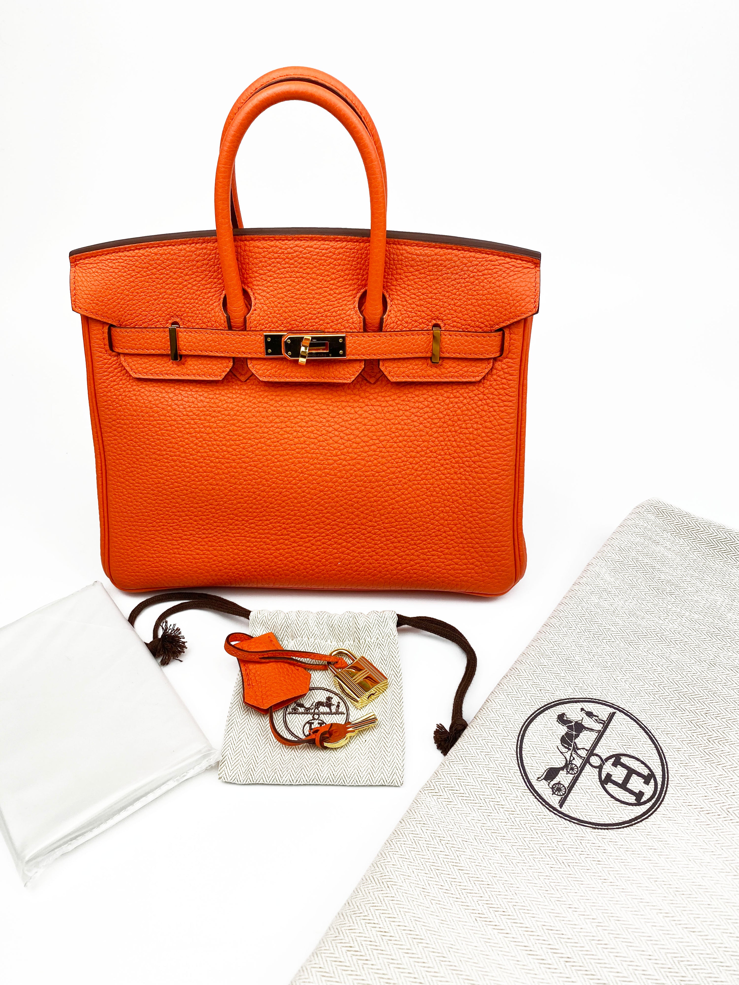 Hermes Orange Birkin 25 Bag