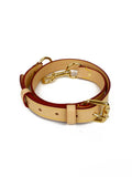Louis Vuitton VVN Shoulder Strap