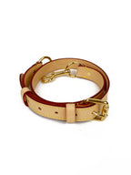 Louis Vuitton VVN Shoulder Strap