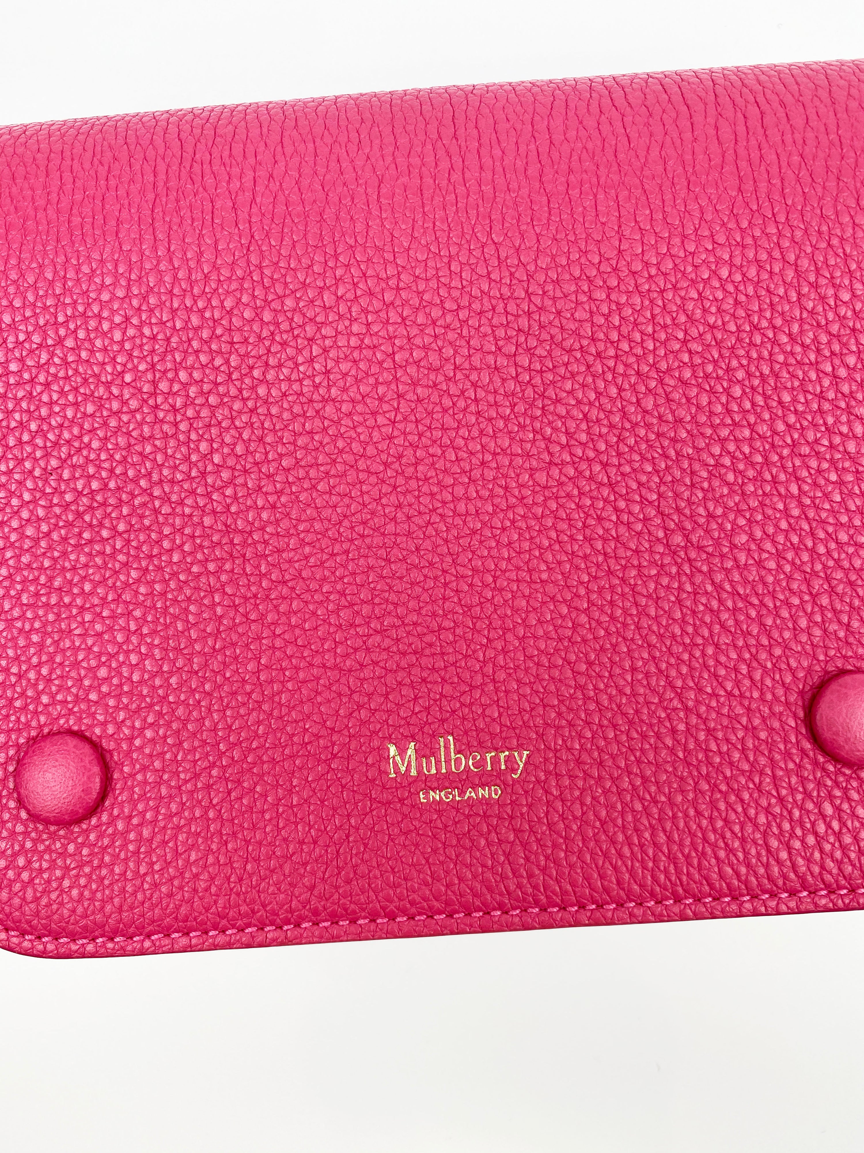 Mulberry Chain Clutch